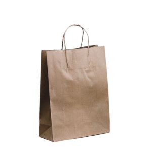 BROWN PAPER CARRY BAG TWIST HANDLE 260mm x 350mm + 110mm SMALL